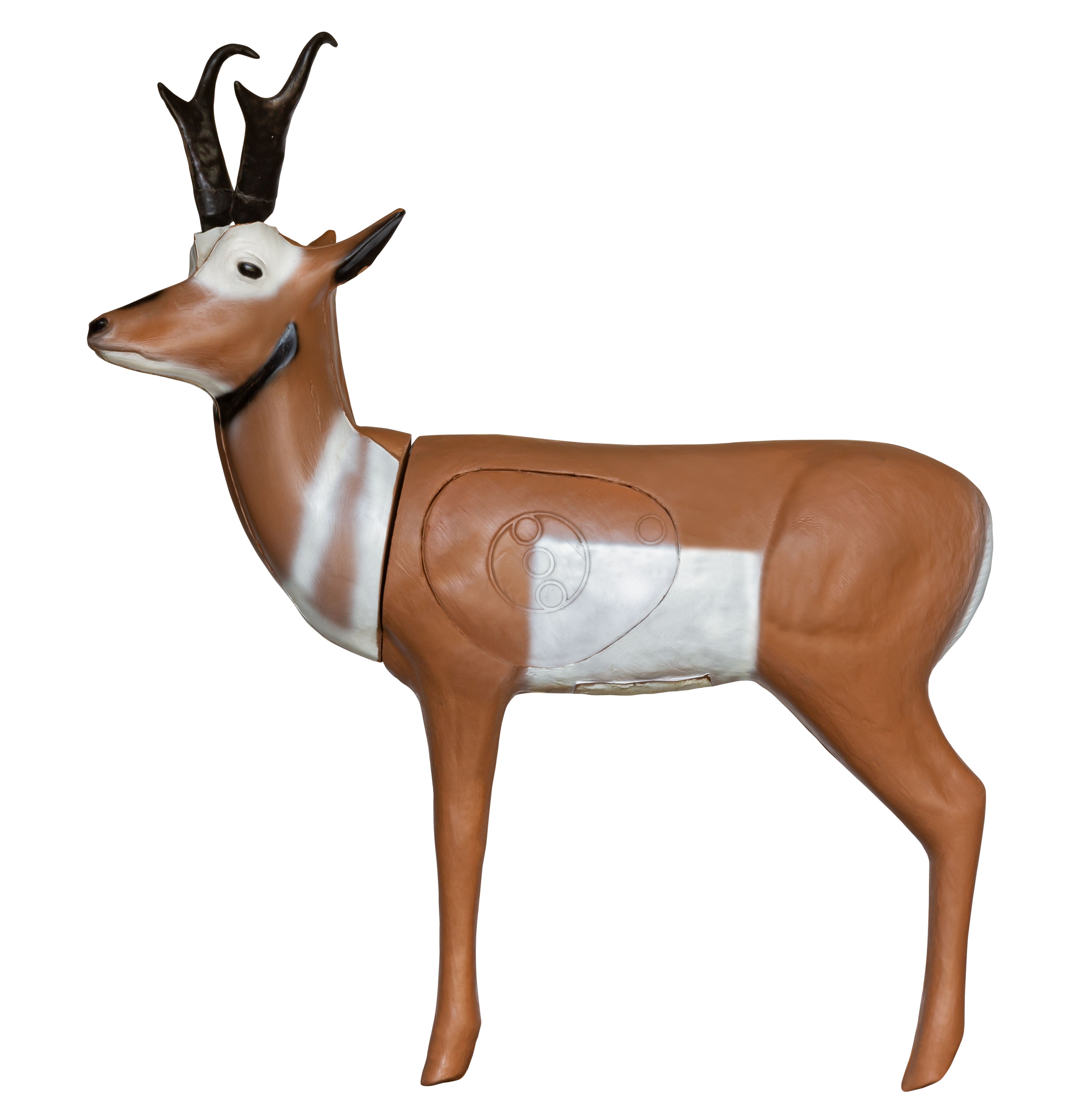 BIGshot Archery Real Wild 3D Pronghorn Antelope Archery Target in  by GOHUNT | BIGshot Archery - Morvixa