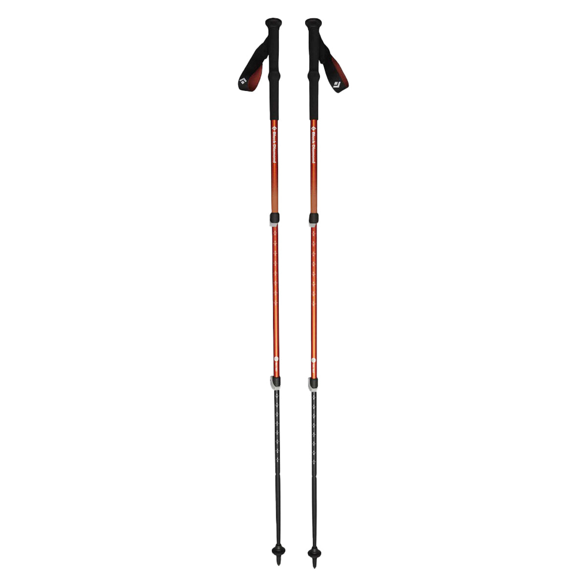 Black Diamond Trail Back Trekking Poles 2024 Model