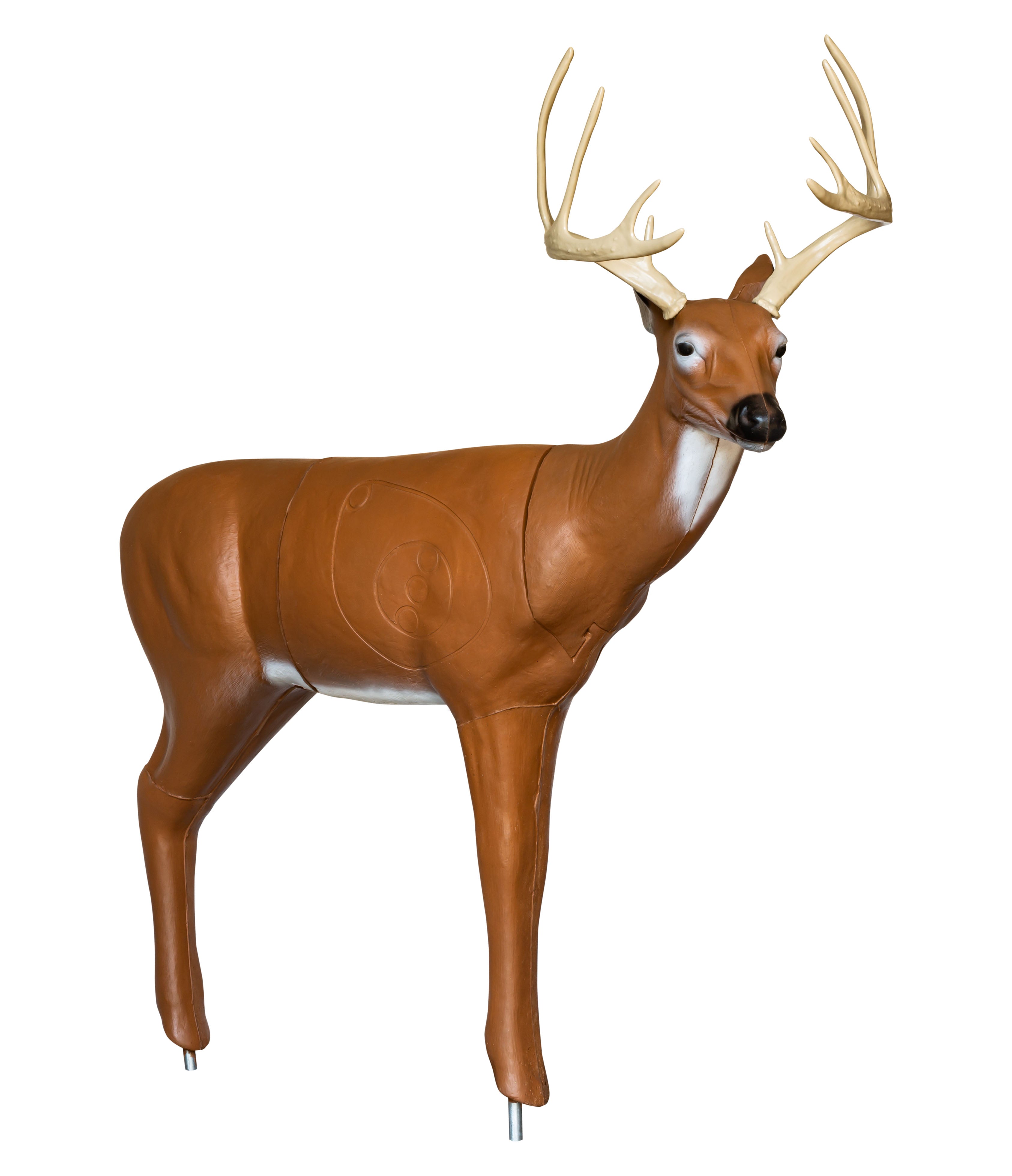 BIGshot Archery Real Wild 3D Sneak Deer Archery Target in  by GOHUNT | BIGshot Archery - Morvixa