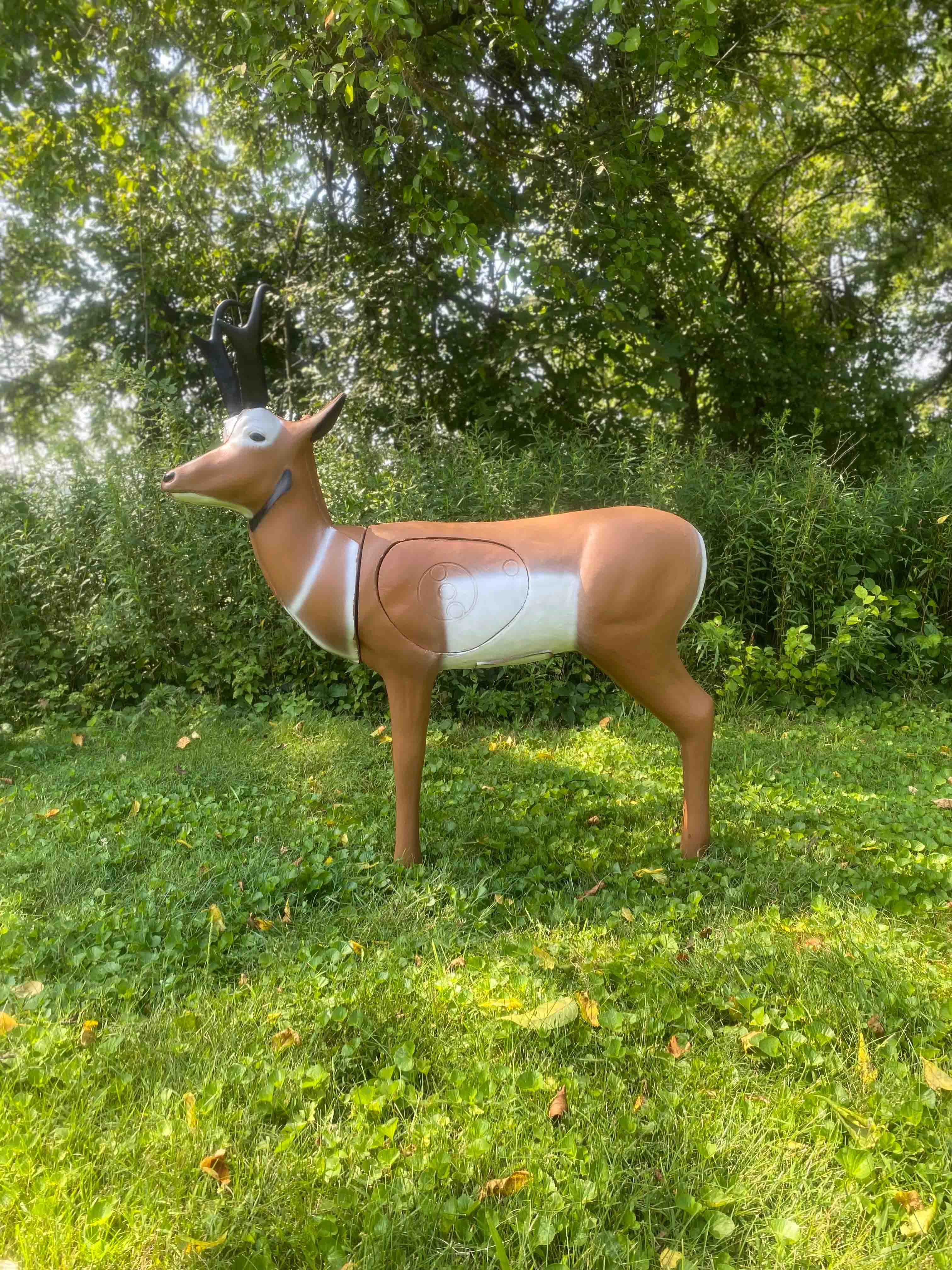 BIGshot Archery Real Wild 3D Pronghorn Antelope Archery Target in  by GOHUNT | BIGshot Archery - Morvixa