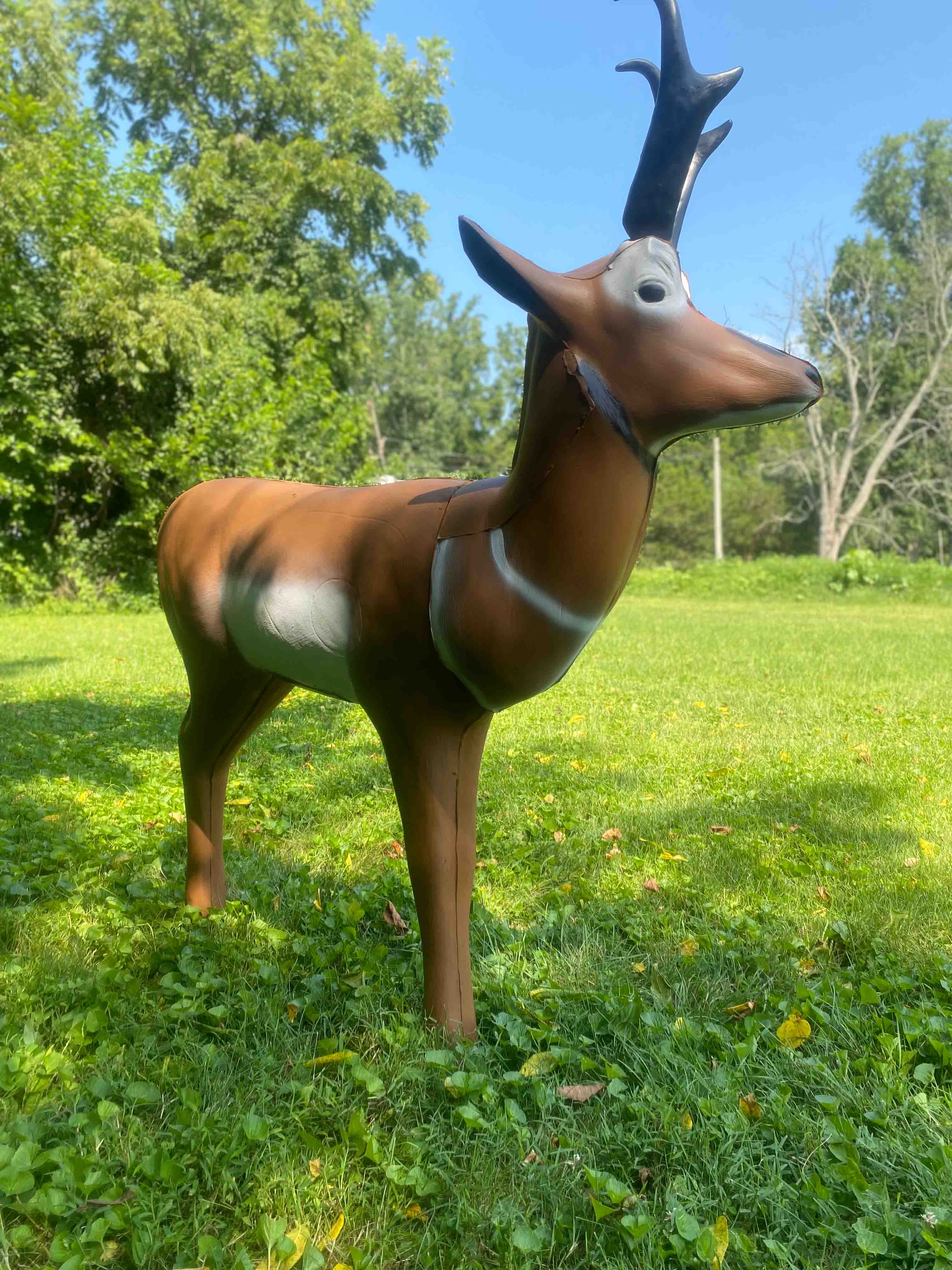 BIGshot Archery Real Wild 3D Pronghorn Antelope Archery Target in  by GOHUNT | BIGshot Archery - Morvixa